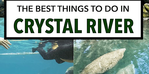 Crystal River Kayaking/Swimming w The Manatees