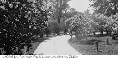 Frederick Law Olmsted and the Rochester Parks