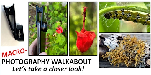 Macro-Photography Walkabout: Friedrich Wilderness Park --added session!
