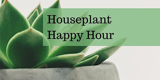 Houseplant Happy Hour