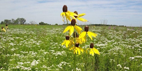 Prairie Ecosystems for Homeschoolers (K-5th)