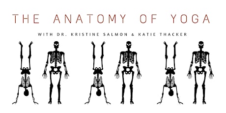 The Anatomy of Yoga primary image