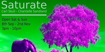 “Saturate” art exhibition