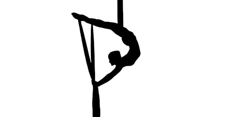 Aerial Skills Development for Intermediates with Mel Monday, August 15