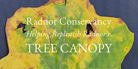 Fall Fundraiser - Helping  Replenish Radnor's TREE CANOPY