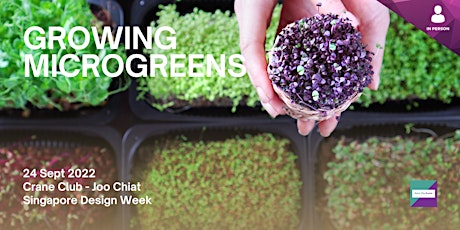 Growing Microgreens primary image