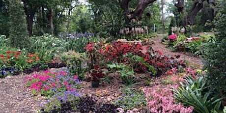 Winter Park, DT Orlando w Meade Botanical Gardens Bikeabout