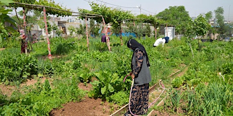 Fundraiser to create food gardens for displaced people, Baharka camp, Iraq primary image