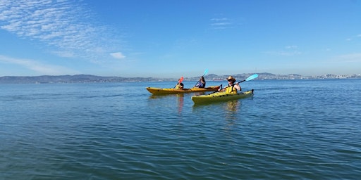 Kayak around the Island Kayaking Tour