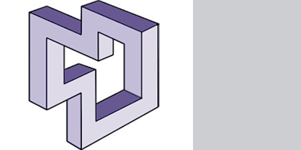 Illusions Index