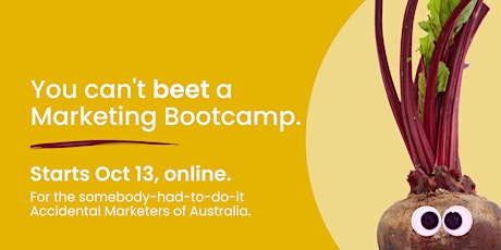 Blitz-it Marketing Bootcamp (6-week workshop series)