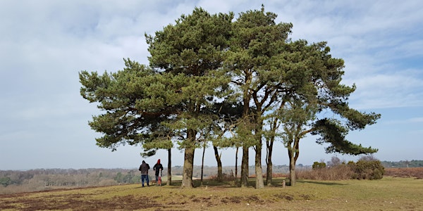 New Forest Knowledge Conference 2017: New Forest Historical Research and Ar...