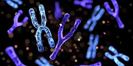 BrisScience: Sex, genes, chromosomes and the future of men