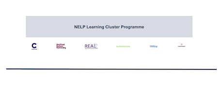NELP Learning Cluster: Embedding learning and evaluative methods