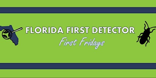First Fridays with Florida First Detector