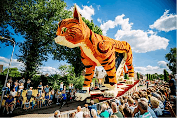 The Incredible Flower Parade of Sint Jansklooster