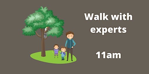 Walk with experts 11am