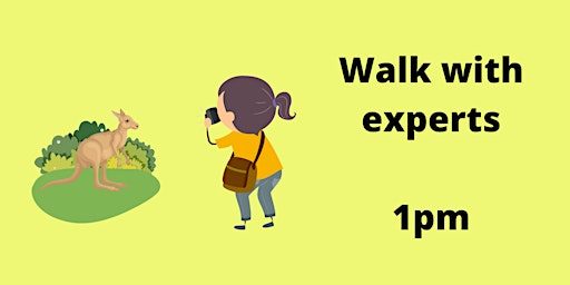 Walk with experts 1pm
