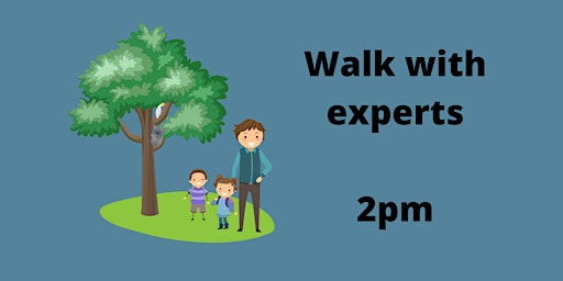 Walk with experts 2pm