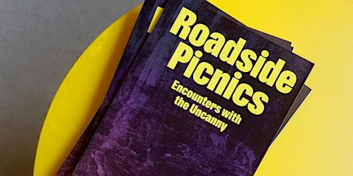 Roadside Picnics book launch
