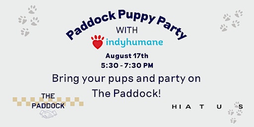 Paddock Puppy Party