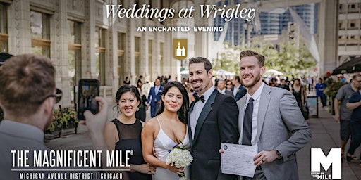 Weddings at Wrigley: An Enchanted Evening