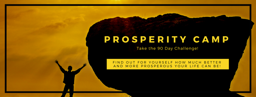 Prosperity Camp - 90 Day Challenge