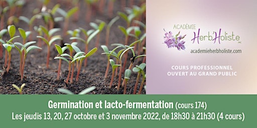 Germination et lacto-fermentation (Cours 174)