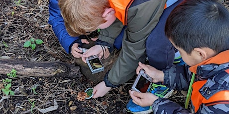 Nature Photography with the Young Naturalist @ Footprints Ecofestival