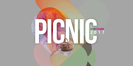 Imagen principal de Picnic Sintrata 2017