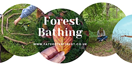 Evening Forest Bathing & Meditation in Atherstone