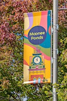 Moonee Ponds Trails