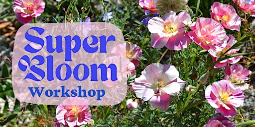Super Bloom Workshop