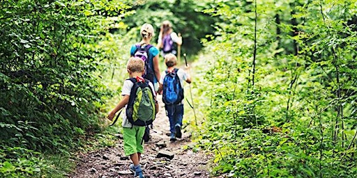 Free Family Wellbeing Walk at Ringland Woods