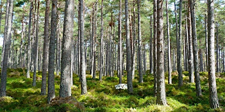 Clyde Climate Forest Talk