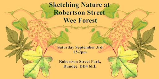 Sketching Nature For Beginners