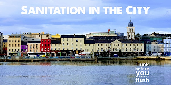Sanitation in the City: A walking tour of Waterford City