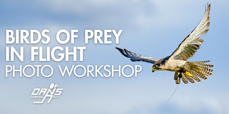 Photo Workshop: Birds of Prey - Raptors in Flight!
