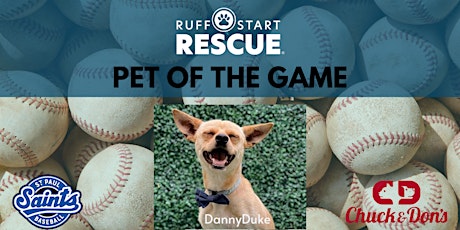 "Pet of the Game" at the St. Paul Saints Featuring DannyDuke