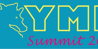 YMB Summit 2017