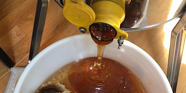 Honey Harvesting