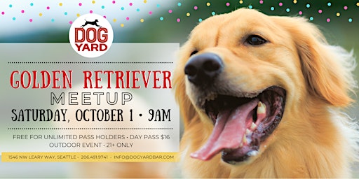 Golden Retriever Meetup at the Dog Yard in Ballard - Saturday, October 1