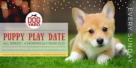 Seattle Puppy Play Date at the Dog Yard in Ballard - Sunday, September 18