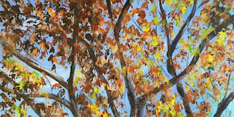 Autumn Tree primary image