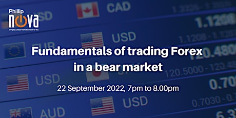 Fundamentals of Trading Forex in a Bear Market