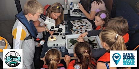 Interactive & educational marine life sessions with Citizen Sea