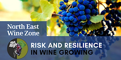 Risk and Resilience in Wine Growing - Beechworth Workshop