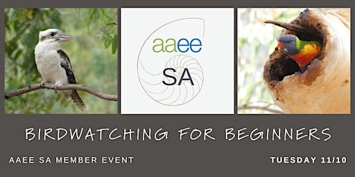 AAEE SA Member Event - Birdwatching for Beginners