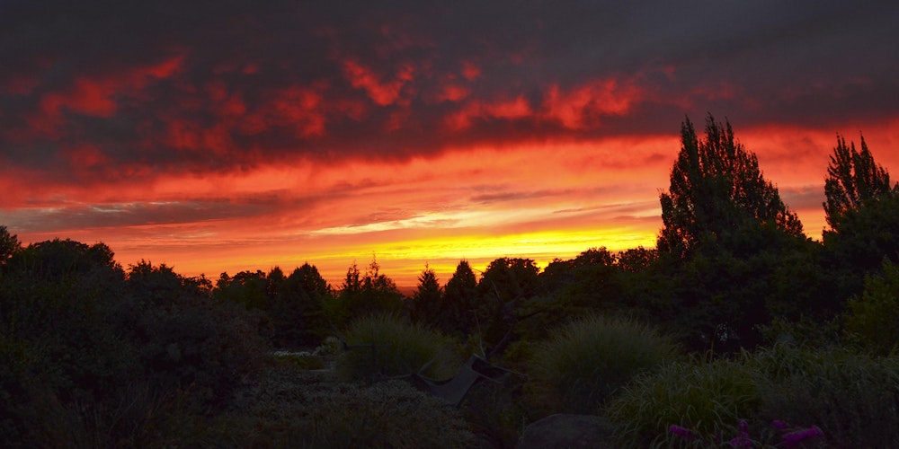 sunsets in the garden 2017 july 26th tickets, wed, jul 26, 2017 at sunsets in the garden 2017 july 26th tickets, wed, jul 26, 2017 at