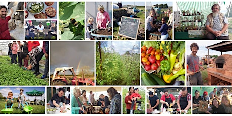 Sutton Community Farm Harvest Festival 2017 primary image